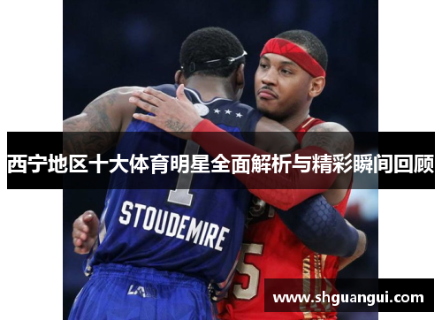 西宁地区十大体育明星全面解析与精彩瞬间回顾